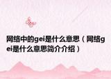 网络中的gei是什么意思（网络gei是什么意思简介介绍）