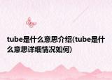 tube是什么意思介绍(tube是什么意思详细情况如何)