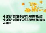 中国好声音第四季汪峰发飙是哪期介绍(中国好声音第四季汪峰发飙是哪期详细情况如何)