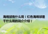 海绵球有什么用（红色海绵球是干什么用的简介介绍）