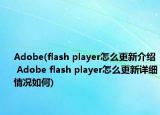 Adobe(flash player怎么更新介绍 Adobe flash player怎么更新详细情况如何)