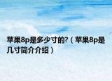 苹果8p是多少寸的?（苹果8p是几寸简介介绍）