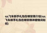 qq飞车新手礼包在哪里领介绍(qq飞车新手礼包在哪里领详细情况如何)