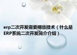 erp二次开发需要哪些技术（什么是ERP系统二次开发简介介绍）