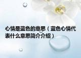 心情是蓝色的意思（蓝色心情代表什么意思简介介绍）