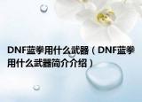 DNF蓝拳用什么武器（DNF蓝拳用什么武器简介介绍）