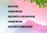 盲僧s6天赋|s6盲僧打野天赋|盲僧打野符文介绍(盲僧s6天赋|s6盲僧打野天赋|盲僧打野符文详细情况如何)