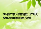 专a的广东大学有哪些（广州大学专A的有哪些简介介绍）