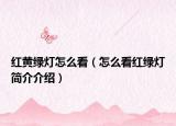 红黄绿灯怎么看（怎么看红绿灯简介介绍）