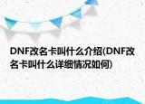 DNF改名卡叫什么介绍(DNF改名卡叫什么详细情况如何)