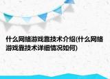 什么网络游戏靠技术介绍(什么网络游戏靠技术详细情况如何)