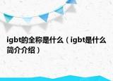 igbt的全称是什么（igbt是什么简介介绍）