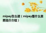 mipay怎么读（mipay是什么意思简介介绍）