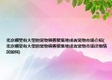 北京哪里有大型的宠物领养聚集地或者宠物市场介绍(北京哪里有大型的宠物领养聚集地或者宠物市场详细情况如何)