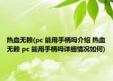 热血无赖(pc 能用手柄吗介绍 热血无赖 pc 能用手柄吗详细情况如何)
