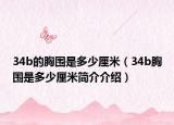 34b的胸围是多少厘米（34b胸围是多少厘米简介介绍）