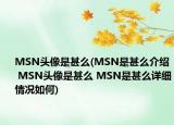 MSN头像是甚么(MSN是甚么介绍 MSN头像是甚么 MSN是甚么详细情况如何)