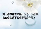 我上你下的意思是什么（什么成语含有你上我下的意思简介介绍）