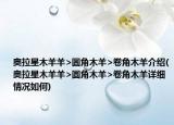 奥拉星木羊羊>圆角木羊>卷角木羊介绍(奥拉星木羊羊>圆角木羊>卷角木羊详细情况如何)