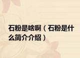 石粉是啥啊（石粉是什么简介介绍）