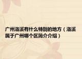 广州洛溪有什么特别的地方（洛溪属于广州哪个区简介介绍）