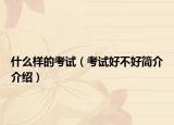 什么样的考试（考试好不好简介介绍）