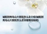 城阳到青岛山大医院怎么走介绍(城阳到青岛山大医院怎么走详细情况如何)