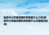 旅途中让您最震撼的景物是什么介绍(旅途中让您最震撼的景物是什么详细情况如何)