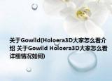 关于Gowild(Holoera3D大家怎么看介绍 关于Gowild Holoera3D大家怎么看详细情况如何)