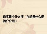 确实是个什么梗（在吗是什么梗简介介绍）