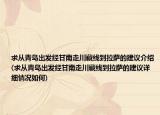 求从青岛出发经甘南走川藏线到拉萨的建议介绍(求从青岛出发经甘南走川藏线到拉萨的建议详细情况如何)