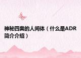 神秘四奥的人间体（什么是ADR简介介绍）