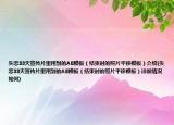 失恋33天宣传片里用到的AE模板（结束时的照片平移模板）介绍(失恋33天宣传片里用到的AE模板（结束时的照片平移模板）详细情况如何)