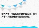 爆竹声中一岁除描写的是什么节日（爆竹声中一岁除是什么节日简介介绍）