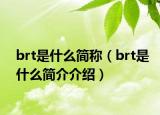 brt是什么简称（brt是什么简介介绍）