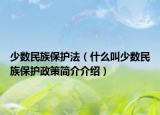 少数民族保护法（什么叫少数民族保护政策简介介绍）