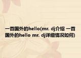 一首国外的hello(mr. dj介绍 一首国外的hello mr. dj详细情况如何)