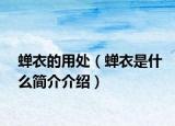 蝉衣的用处（蝉衣是什么简介介绍）