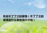 形容不了了之的爱情（不了了之的爱情是什么意思简介介绍）