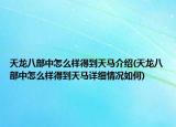 天龙八部中怎么样得到天马介绍(天龙八部中怎么样得到天马详细情况如何)