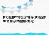 梦幻西游DT怎么玩?介绍(梦幻西游DT怎么玩?详细情况如何)