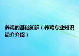 养鸡的基础知识（养鸡专业知识简介介绍）