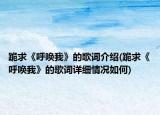 跪求《呼唤我》的歌词介绍(跪求《呼唤我》的歌词详细情况如何)