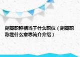副高职称相当于什么职位（副高职称是什么意思简介介绍）