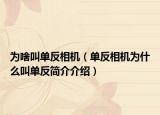为啥叫单反相机（单反相机为什么叫单反简介介绍）