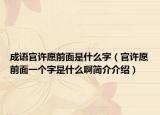成语官许愿前面是什么字（官许愿前面一个字是什么啊简介介绍）