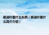 麻油叶是什么东西（麻油叶是什么简介介绍）