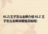 KLZ(王子怎么去啊介绍 KLZ 王子怎么去啊详细情况如何)
