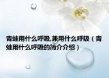 青蛙用什么呼吸,兼用什么呼吸（青蛙用什么呼吸的简介介绍）