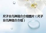 尺子分几种简介介绍图片（尺子分几种简介介绍）
